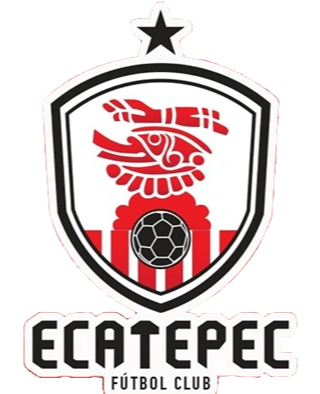 https://img.ebilling.net.cn/img/football/team/f8fefa1062b7f72982263757680421c0.png